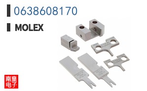 0638608170