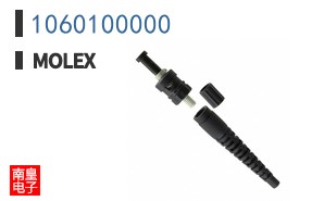1060100000
