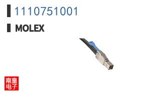 1110751001