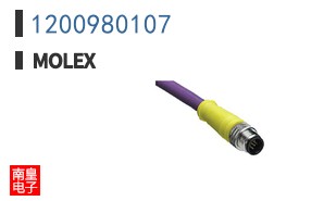1200980107