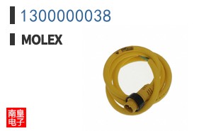 1300000038