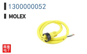 1300000052