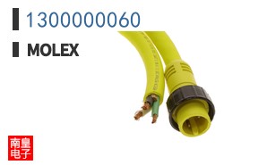 1300000060