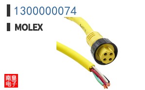 1300000074