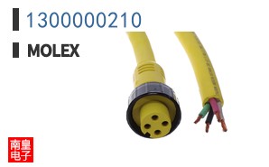 1300000210