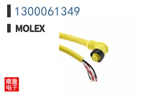 1300061349