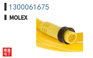 1300061675