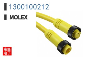 1300100212
