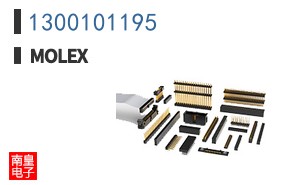 1300101195