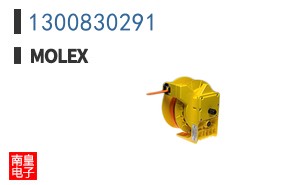 1300830291