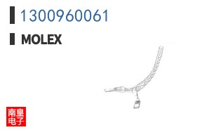 1300960061