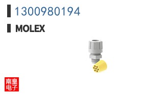 1300980194