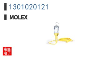 1301020121