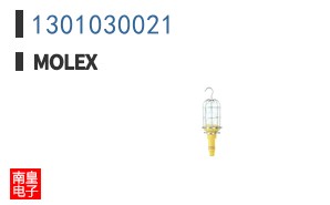 1301030021