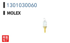 1301030060