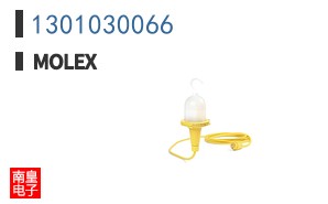 1301030066