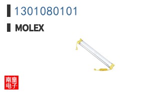 1301080101