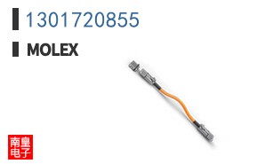 1301720855