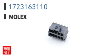 1723163110