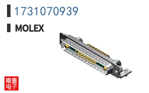 1731070939