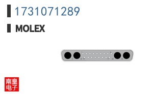 1731071289