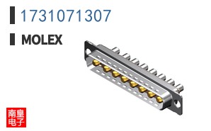 1731071307