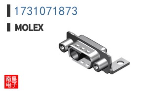 1731071873