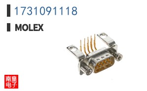 1731091118