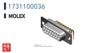1731100036