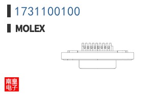 1731100100