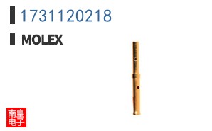1731120218