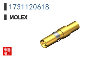 1731120618