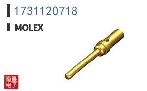 1731120718