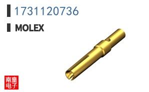 1731120736