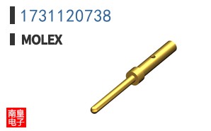 1731120738