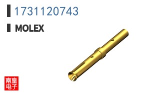 1731120743