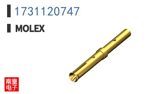 1731120747