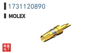 1731120890