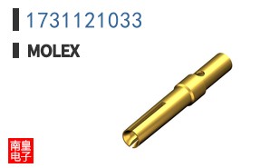 1731121033