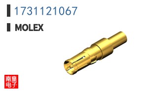 1731121067
