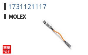 1731121117