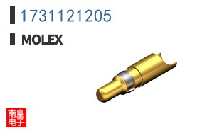 1731121205