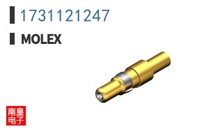 1731121247