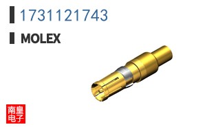 1731121743