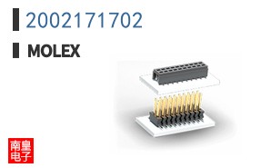 2002171702