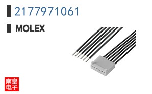 2177971061