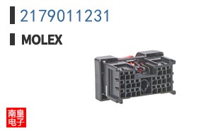 2179011231