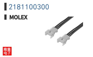 2181100300