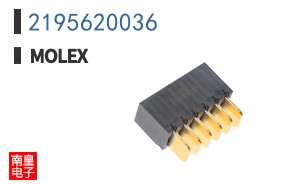 2195620036