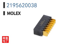 2195620038